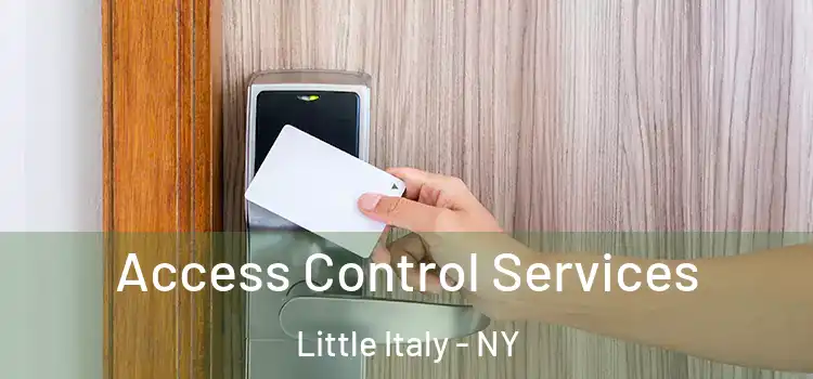 Access Control Services Little Italy - NY