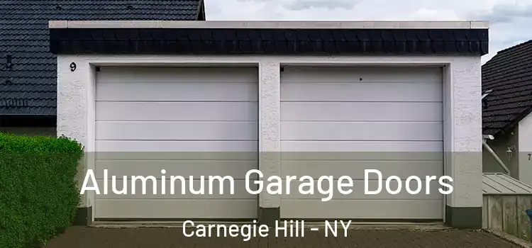 Aluminum Garage Doors Carnegie Hill - NY