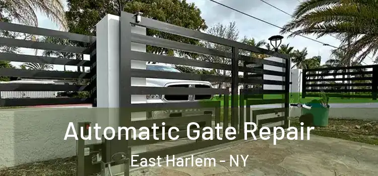  Automatic Gate Repair East Harlem - NY