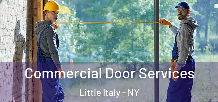 Commercial Door Services Little Italy - NY