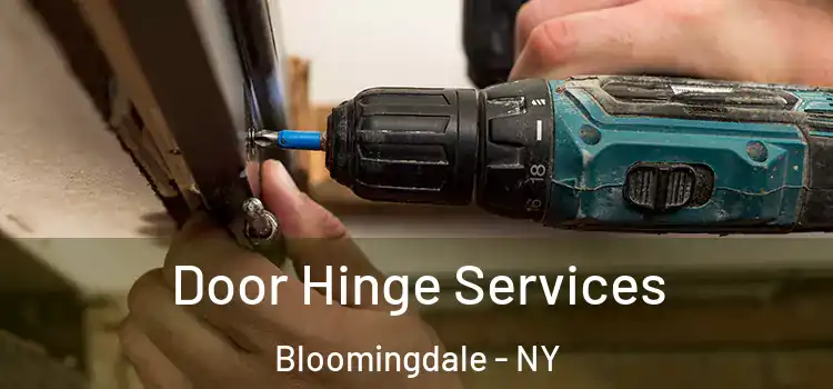  Door Hinge Services Bloomingdale - NY