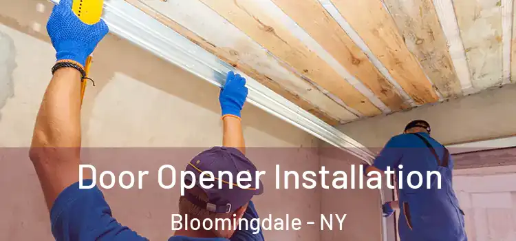  Door Opener Installation Bloomingdale - NY