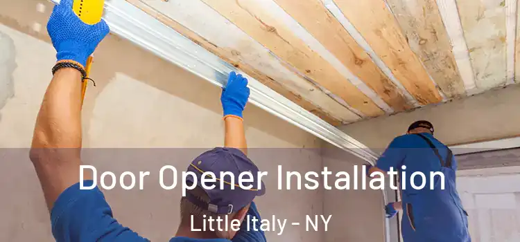Door Opener Installation Little Italy - NY