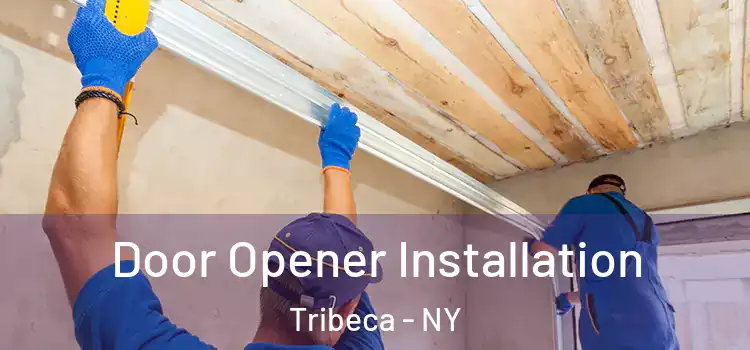  Door Opener Installation Tribeca - NY