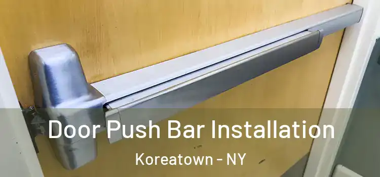  Door Push Bar Installation Koreatown - NY