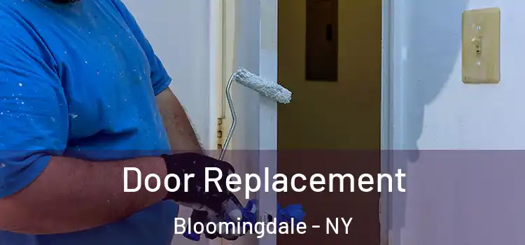 Door Replacement Bloomingdale - NY