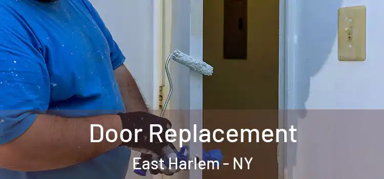  Door Replacement East Harlem - NY