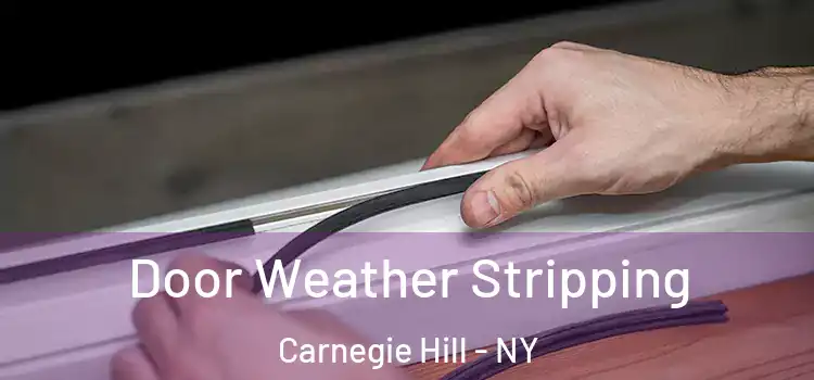 Door Weather Stripping Carnegie Hill - NY