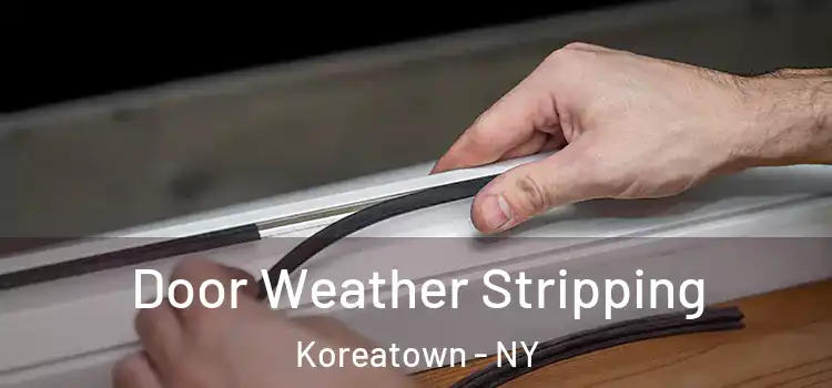 Door Weather Stripping Koreatown - NY