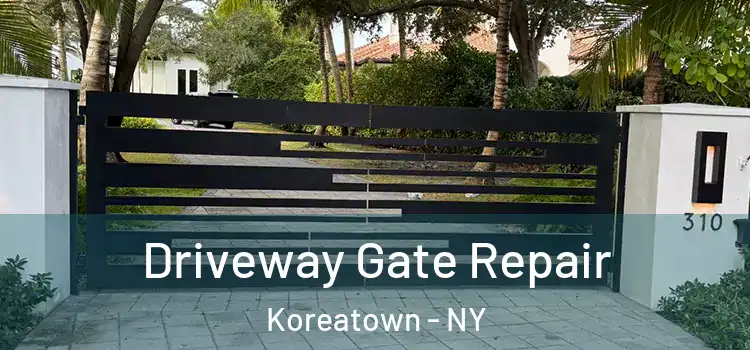  Driveway Gate Repair Koreatown - NY