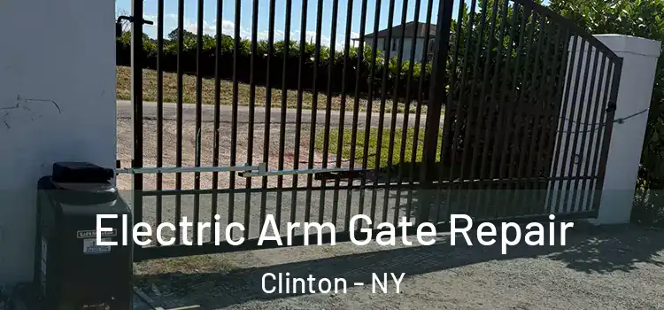 Electric Arm Gate Repair Clinton - NY