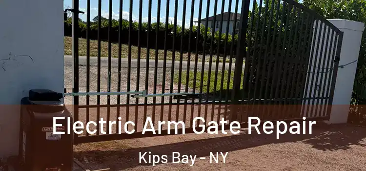 Electric Arm Gate Repair Kips Bay - NY