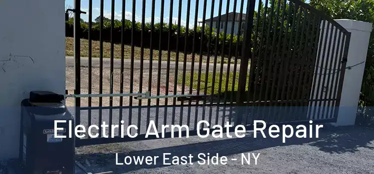 Electric Arm Gate Repair Lower East Side - NY