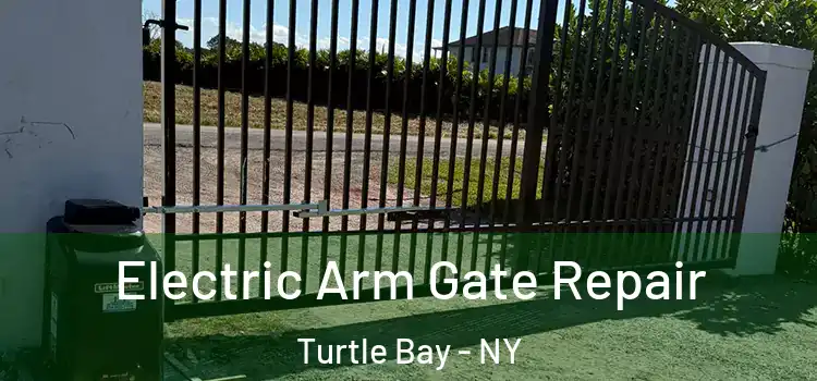 Electric Arm Gate Repair Turtle Bay - NY