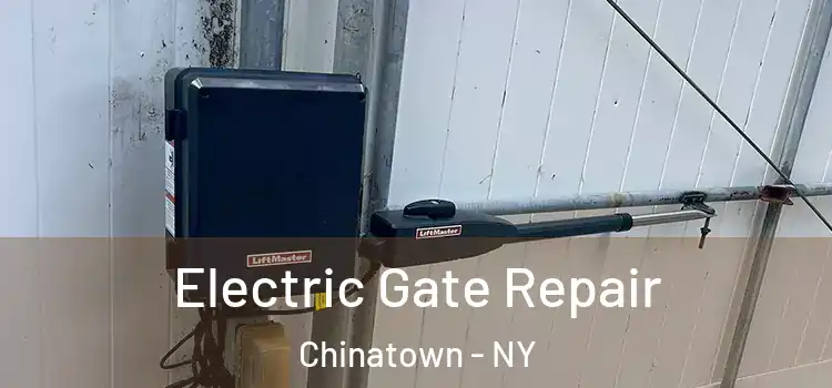 Electric Gate Repair Chinatown - NY