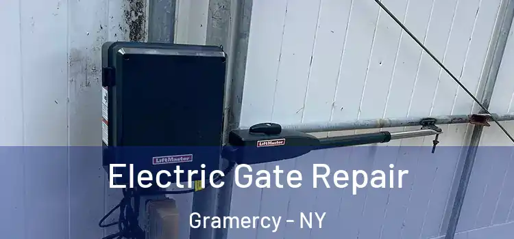  Electric Gate Repair Gramercy - NY