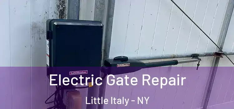 Electric Gate Repair Little Italy - NY