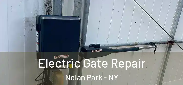 Electric Gate Repair Nolan Park - NY