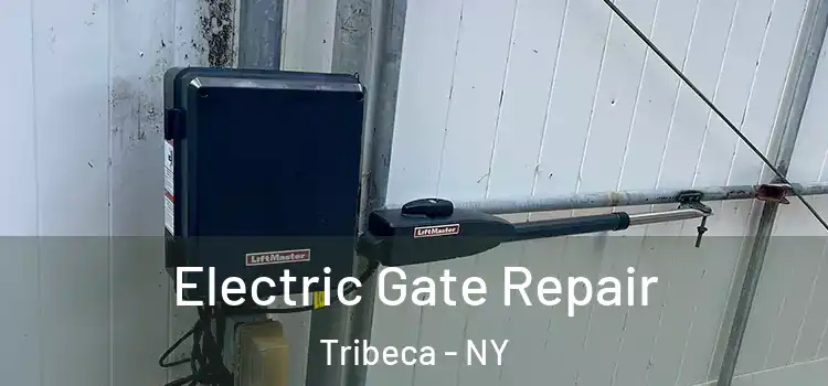 Electric Gate Repair Tribeca - NY