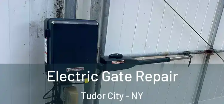  Electric Gate Repair Tudor City - NY