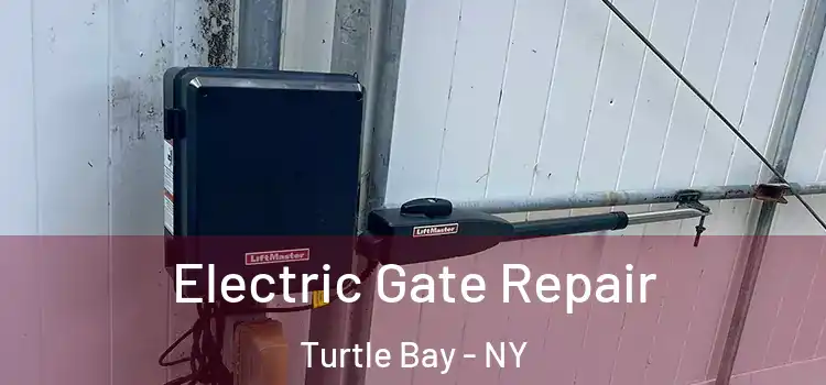 Electric Gate Repair Turtle Bay - NY