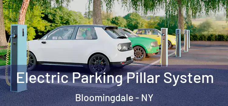 Electric Parking Pillar System Bloomingdale - NY