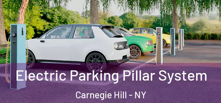 Electric Parking Pillar System Carnegie Hill - NY