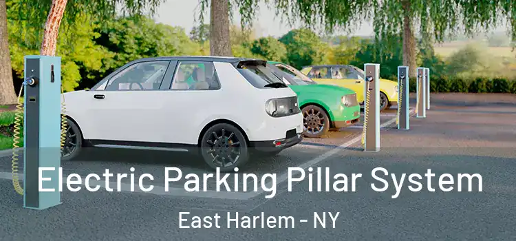 Electric Parking Pillar System East Harlem - NY