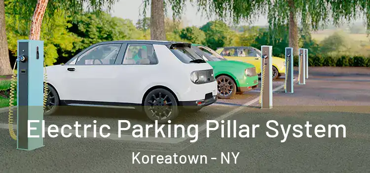 Electric Parking Pillar System Koreatown - NY