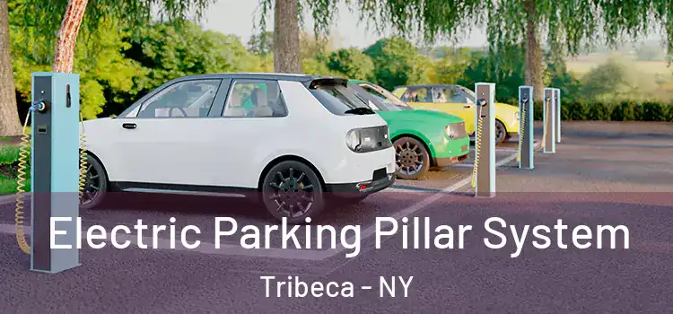 Electric Parking Pillar System Tribeca - NY