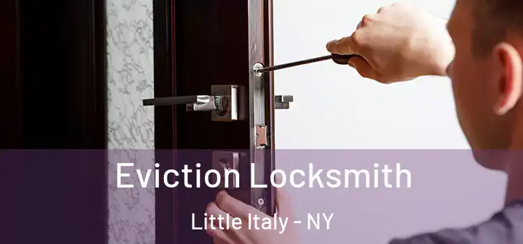Eviction Locksmith Little Italy - NY