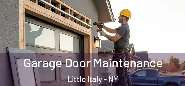 Garage Door Maintenance Little Italy - NY