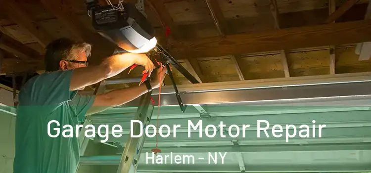  Garage Door Motor Repair Harlem - NY