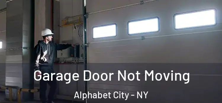  Garage Door Not Moving Alphabet City - NY