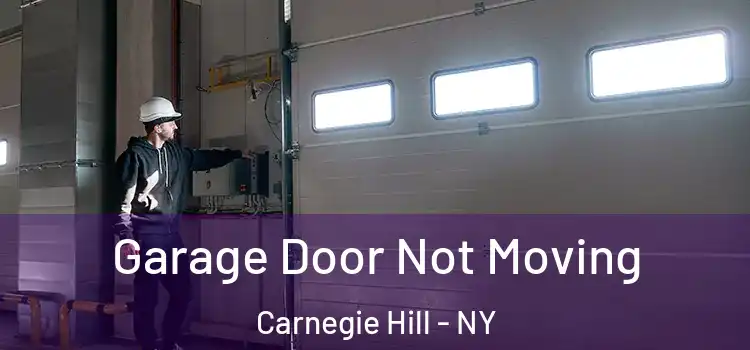 Garage Door Not Moving Carnegie Hill - NY