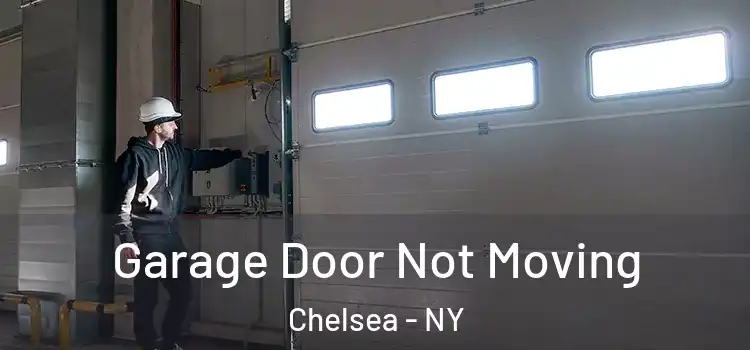  Garage Door Not Moving Chelsea - NY