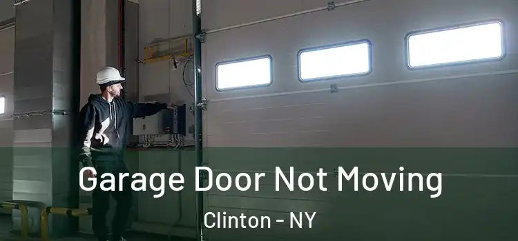  Garage Door Not Moving Clinton - NY