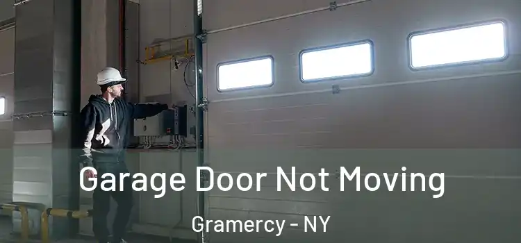  Garage Door Not Moving Gramercy - NY