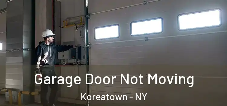  Garage Door Not Moving Koreatown - NY