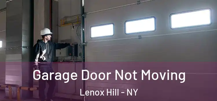  Garage Door Not Moving Lenox Hill - NY