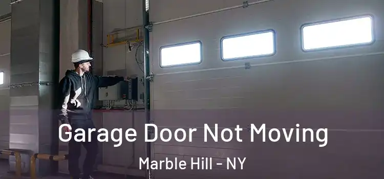  Garage Door Not Moving Marble Hill - NY
