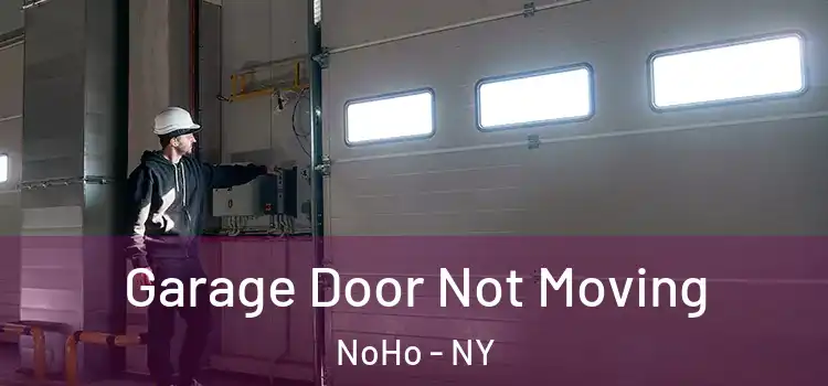  Garage Door Not Moving NoHo - NY