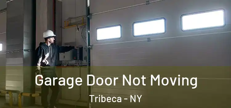  Garage Door Not Moving Tribeca - NY