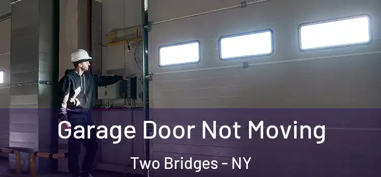  Garage Door Not Moving Two Bridges - NY