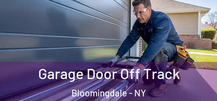  Garage Door Off Track Bloomingdale - NY