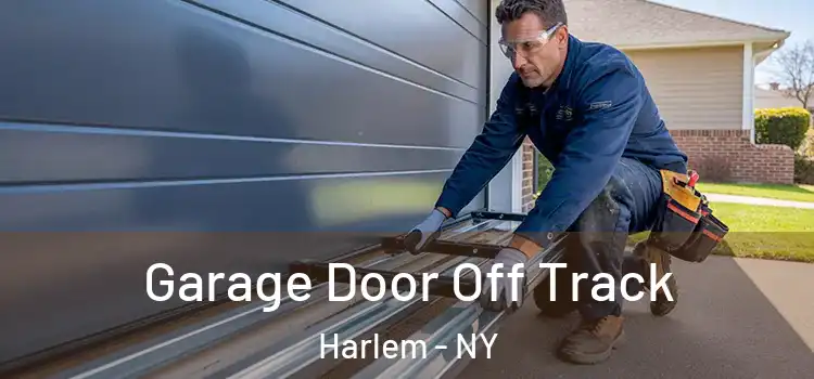  Garage Door Off Track Harlem - NY