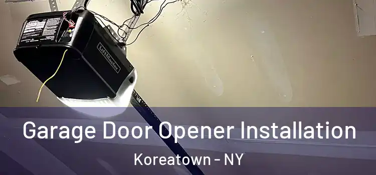  Garage Door Opener Installation Koreatown - NY