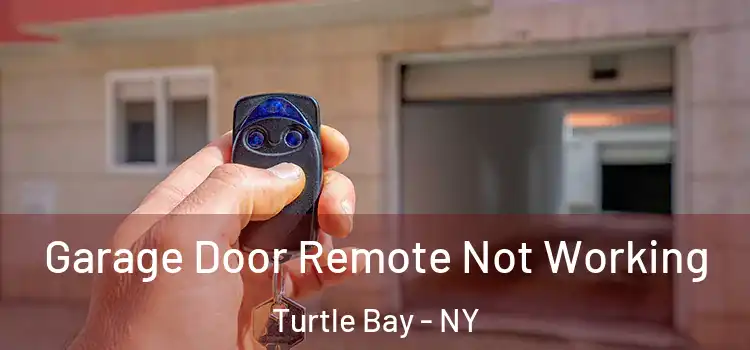  Garage Door Remote Not Working Turtle Bay - NY