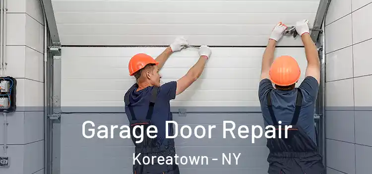  Garage Door Repair Koreatown - NY