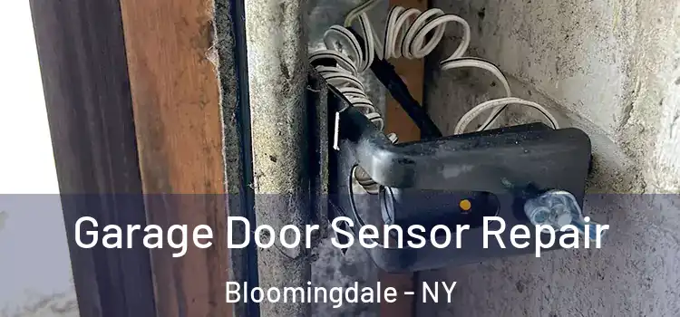 Garage Door Sensor Repair Bloomingdale - NY
